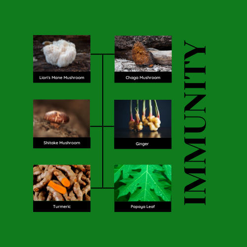 Immunity Blend