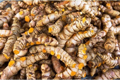 Turmeric